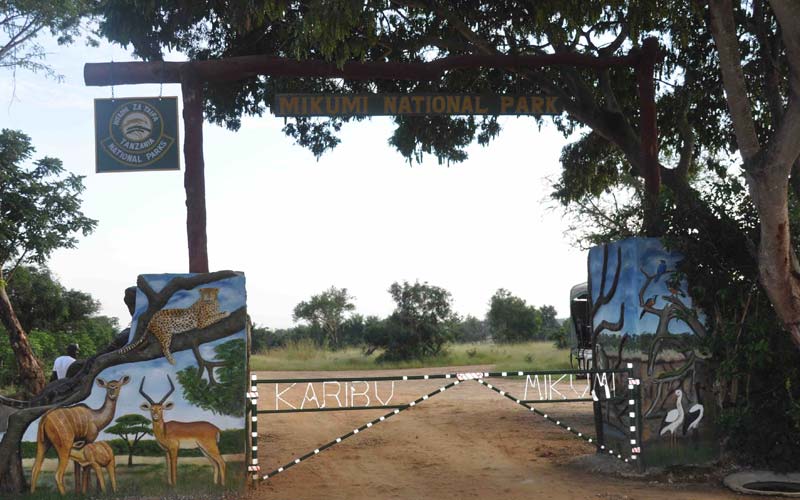 mikumi park fees 
