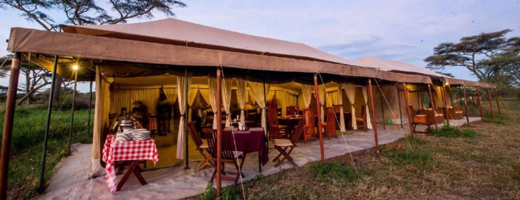 Acacia migration camps