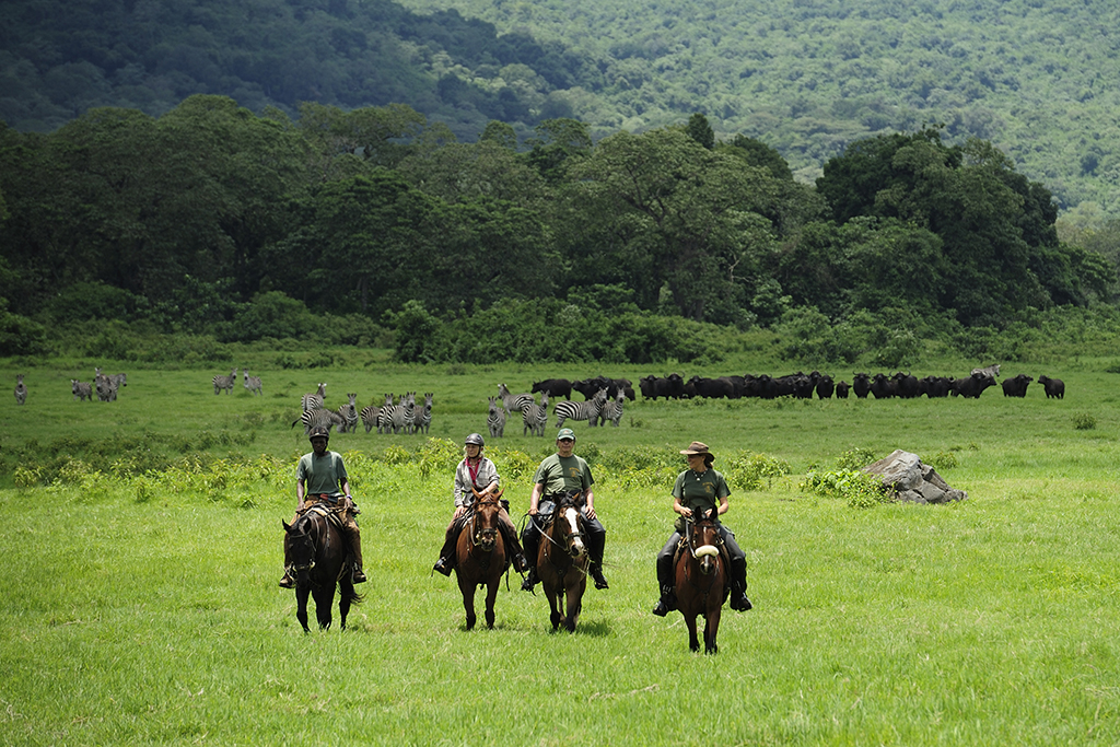 horse riding in Arusha 