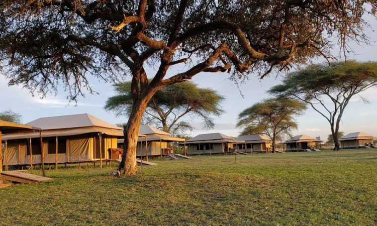 Mbugani Migration Camp