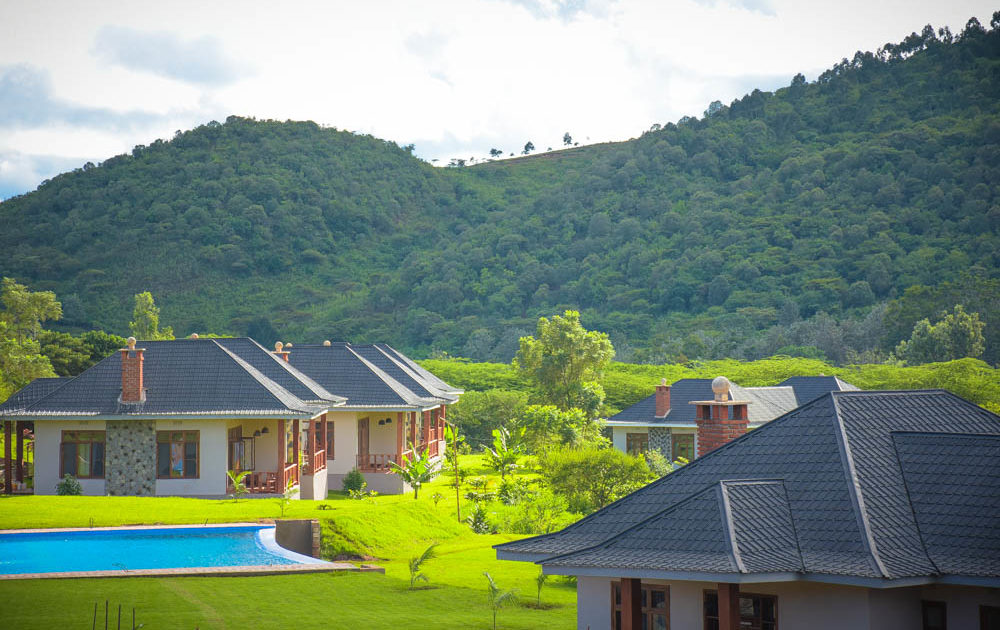 ngorongoro coffee lodge